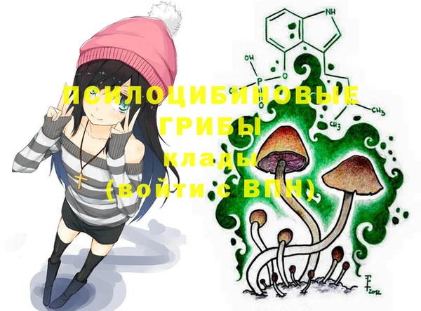 шишки Алексеевка