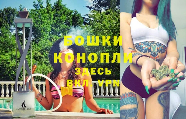 шишки Алексеевка